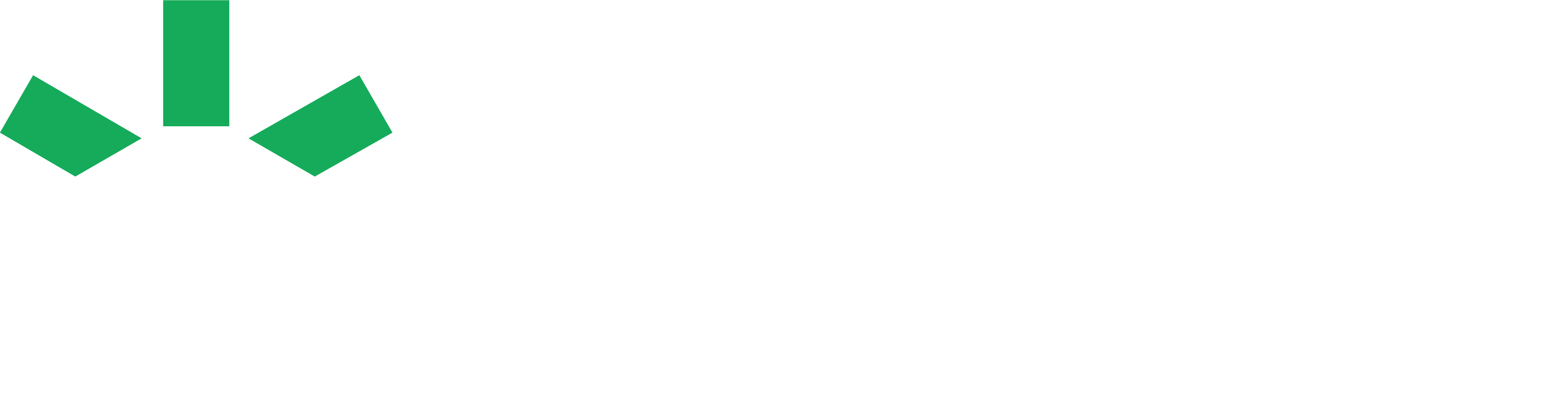 Partner Logo Green